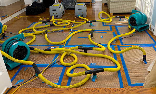 Professional Storm Water Damage Restoration technician working in Harveysburg, OH