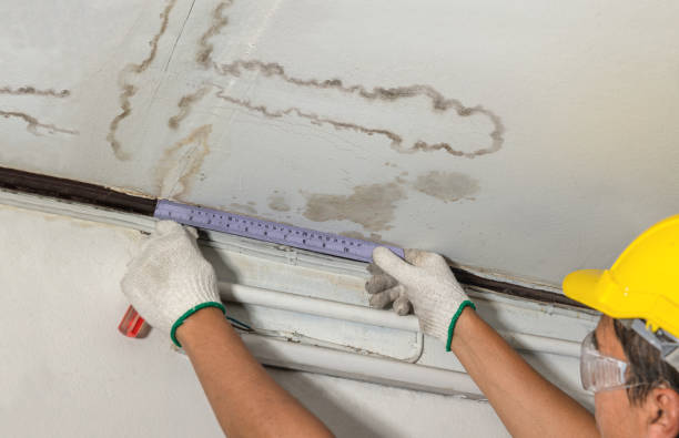 Affordable Water Damage Repair solutions in Harveysburg, OH